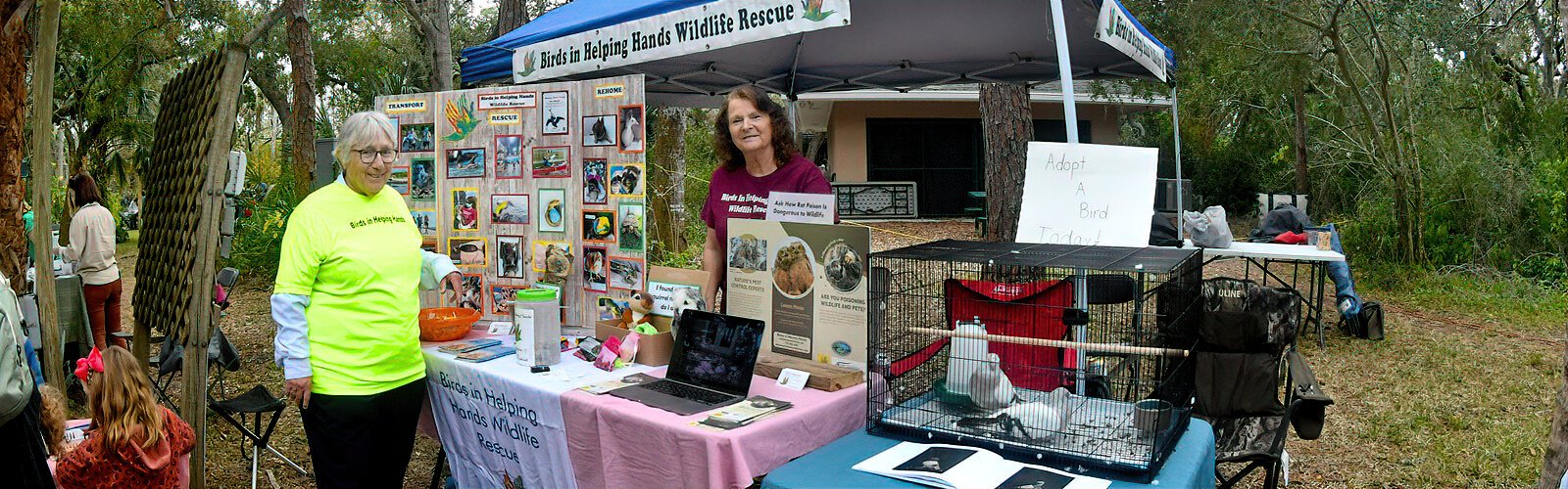 Bird rescuer Lynne Harding is one of many volunteers teaming up with Birds in Helping Hands founder Shelley Vickery to rescue injured birds throughout the Tampa Bay area.