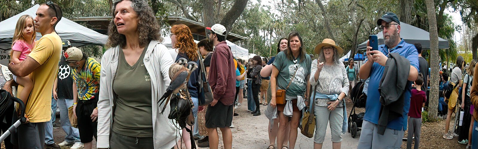 Slasher and Slayer, two American kestrels handled by Sue, of the George C. McGough Nature Park in Largo, capture the attention of enthralled visitors at the Boyd Hill Nature Preserve Raptor Fest.