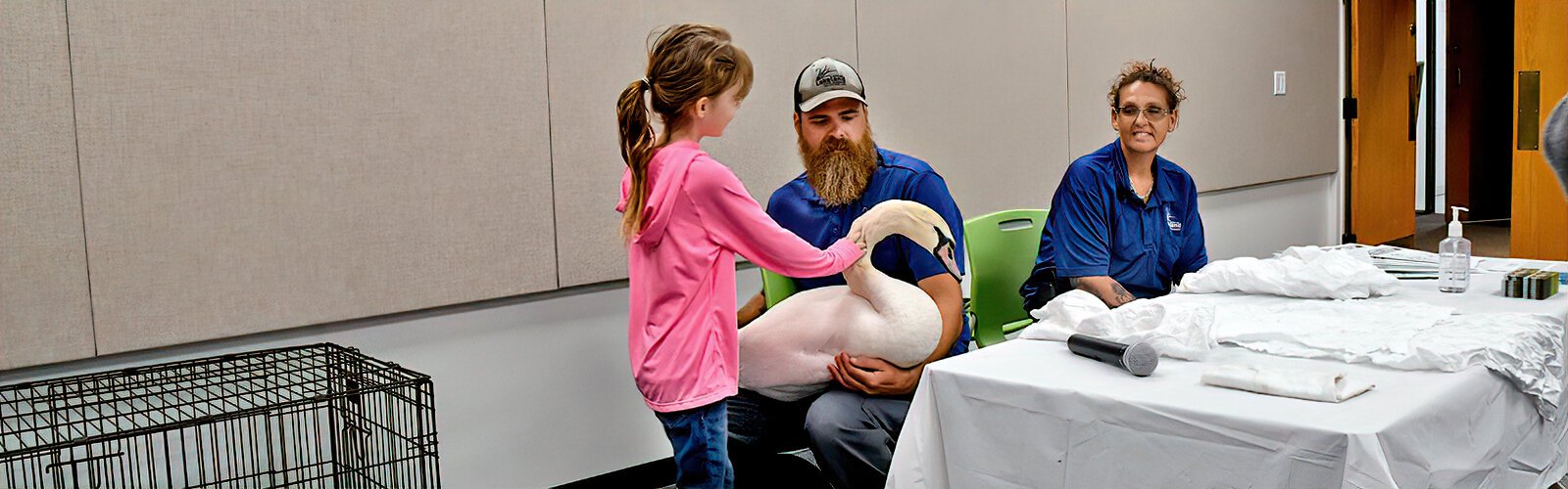 Genevieve, 8, gets to pet a swan at the “Swan-tastic” seminar that Lakeland Parks, Recreation & Cultural Arts staff Samantha Drew and Bryan Soroka put on at Lakeland Public Library.