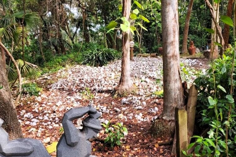 "Echoes of the Land: Hurricanes, History, and Storytelling” will include a tour of the archeological site at Sacred Lands Preservation and Education