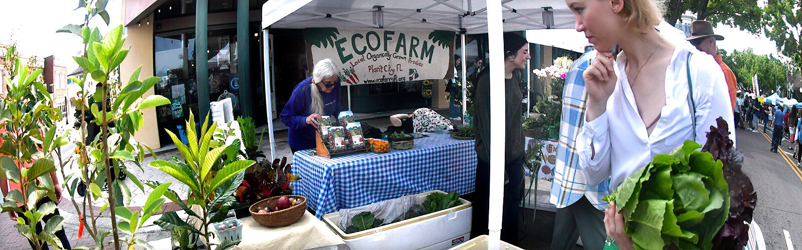 A farmers market shopper chooses local organically grown produce from EcoFarm in Plant City.
