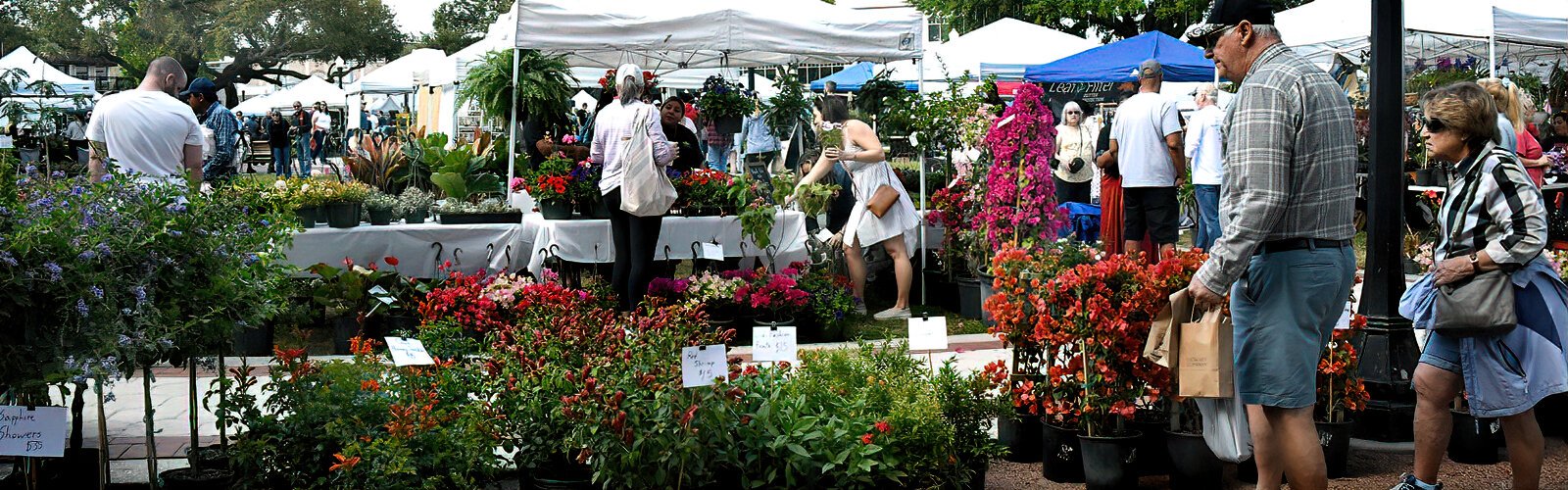 A wide variety of plants and flowers attracts market customers to the vendors in a section of Lakeland’s Munn Park. 