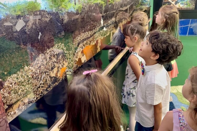 Sponsored by Tampa Bay Water, the “Wonders of Wetlands” exhibit at Great Explorations Children's Museum in St. Pete uses hands-on features to teach children about wetlands important role in the environment.